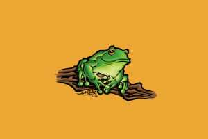 Frogger Wallpaper - Tree Frog
