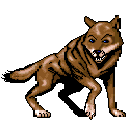Wild Dog 128x128 Icon
