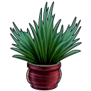 Plant 128x128 Icon